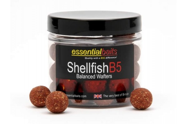 Essential Baits Shellfish B5 Wafters