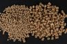 CC Moore Live System Pellets 6mm