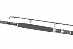 Free Spirit E Sport Cat Rod 10ft 100-300g