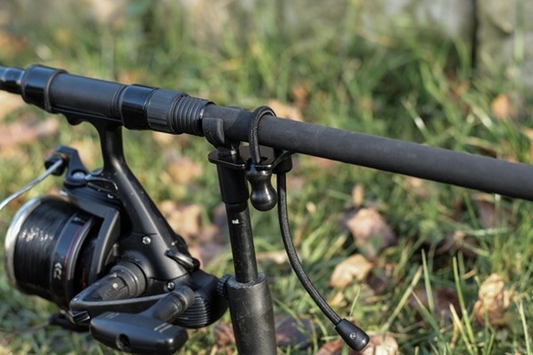 The Original Butt Bungee