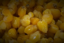 Cooked Maize