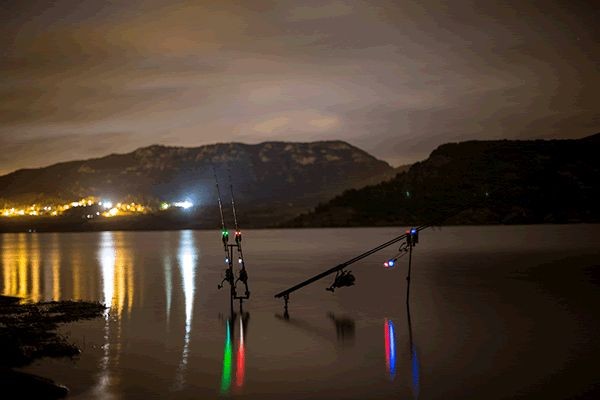 Fox Micron RX+ Alarm