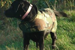 Cotswold Aquarius Dog Jacket Woodland Camo