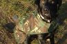 Cotswold Aquarius Dog Jacket Woodland Camo