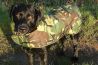 Cotswold Aquarius Dog Jacket Woodland Camo