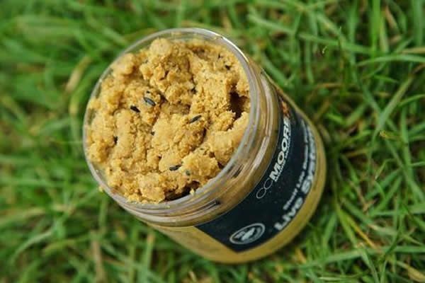 CC Moore Live System Shelf Life Boilie Paste 300g