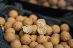 CC Moore Live System Freezer Boilies 1kg