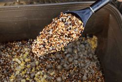 Fox Particle Baiting Spoon