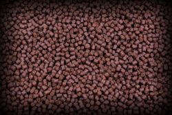 Red Halibut Feed Pellets 4mm