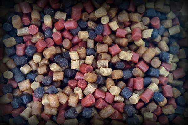 Mini Mix (2mm and 4mm Pellet Mix)