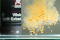 CC Moore Whole Krill Extract 500ml