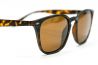 Korda Shoreditch Glasses - Matt Tortoise Shell/ Brown Lens