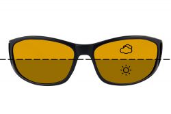 Fortis Switch Wraps Fortis Switch Wraps