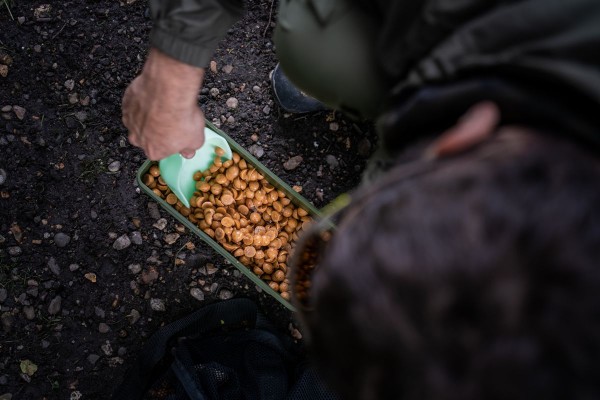 RidgeMonkey Nite Glo Bait Spoon XL