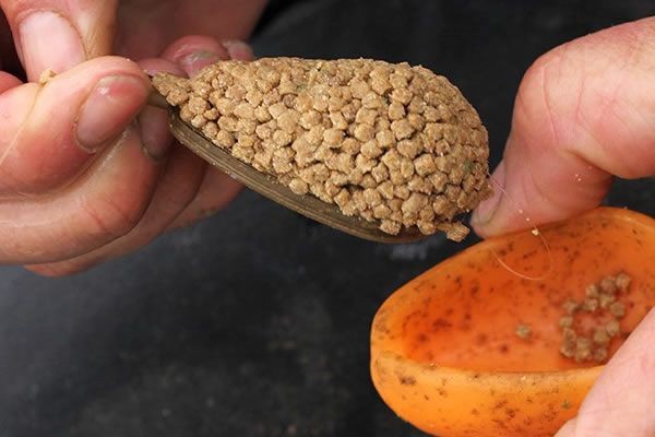 Drennan Inline Flat Method Feeder & Mould