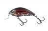 Salmo Rattlin Hornet Shallow Real Cockchafer Lure 3.5cm