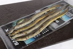 Bait Box Deadbait Whole Eel CLICK AND COLLECT ONLY