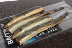 Bait Box Deadbait Eel Sections CLICK AND COLLECT ONLY