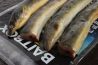 Bait Box Deadbait Eel Sections CLICK AND COLLECT ONLY
