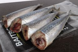 Bait Box Deadbait Mackerel Tails CLICK AND COLLECT ONLY