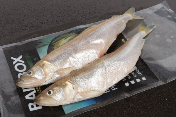 Bait Box Deadbait Maxi Smelt 8 inch (March onwards) CLICK AND COLLECT ONLY