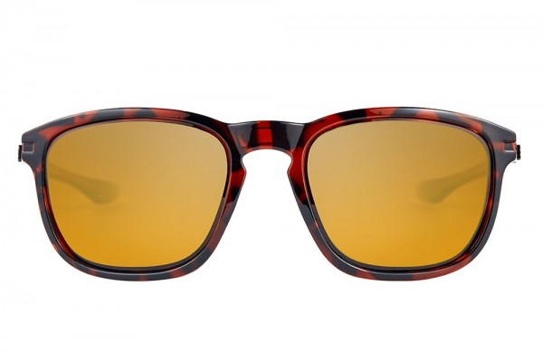 Fortis Strokes Switch