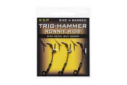 ESP Trig Hammer Ronnie Rigs