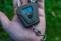 Korum Compact Digital Scales Korum Compact Digital Scales