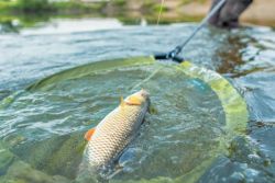 Korum Fast Net Head Korum Fast Net Head