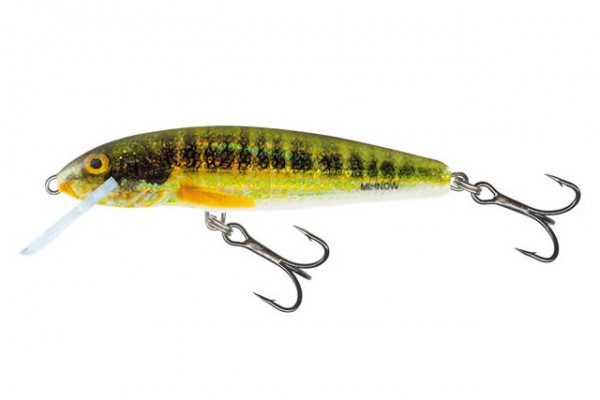 Salmo Holo Real Minnow Lure 7cm 6g