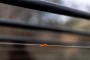 Fox Edges Marker Elastic - Orange 10m