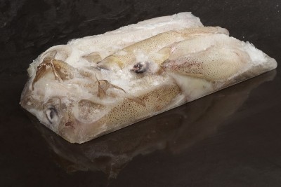 Deadbait Squid Block 1lb IN STORE ONLY