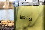 RidgeMonkey CoolaBox Compact 25 Litre