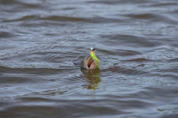 Fox Rage Micro Jig Heads 2g Size 4 pk of 5