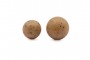 Korda Cell Slow Sinking Imitation Boilies