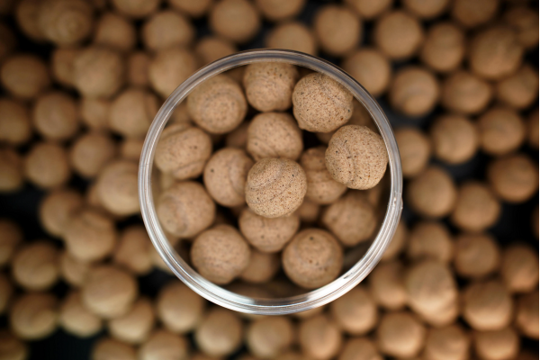 Forgotten Flavours Insect Naturals Popups