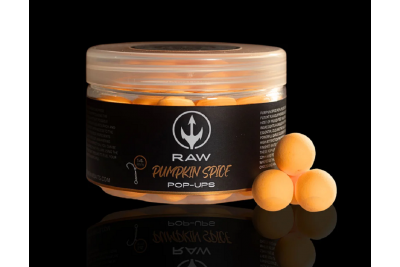 RAW Baits Pumpkin Spice Pop Ups