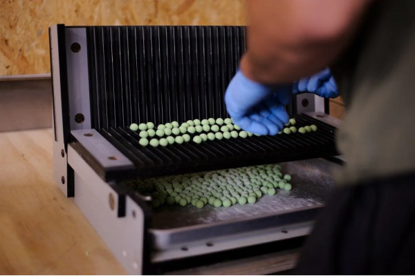 Forgotten Flavours Green Zing 14-15mm Popups