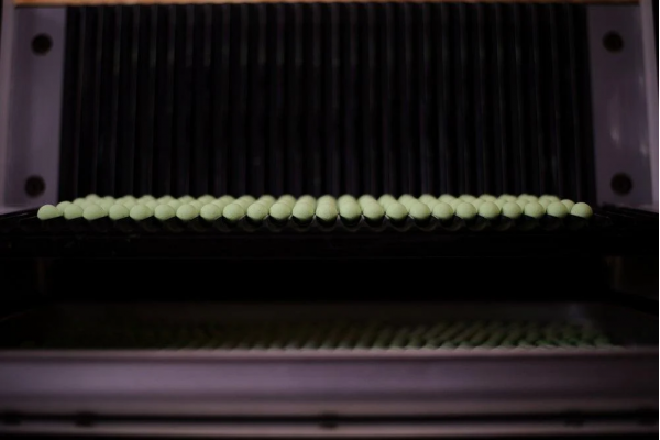 Forgotten Flavours Green Zing 14-15mm Popups