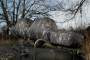 CarpLife Eclipse Camo 12ft 5 rod Rod Holdall