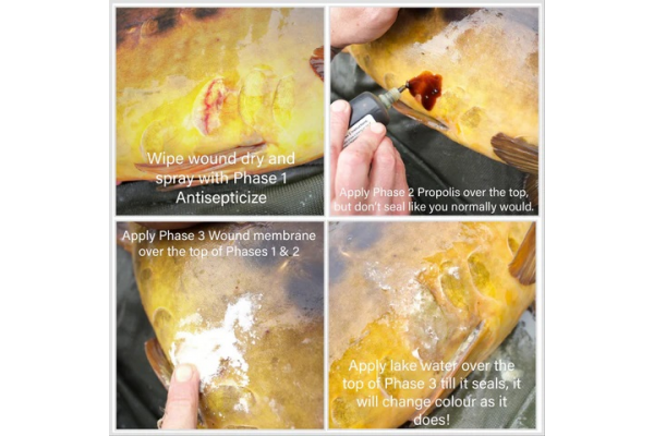 Carp Care UK Phase 1 Antisepticize