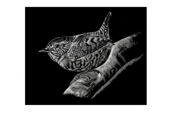 Bitetimes to Lifetimes by Tom Bankes