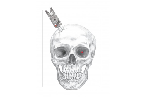 Bitetimes to Lifetimes by Tom Bankes