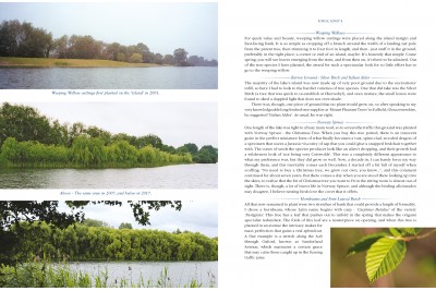 Bitetimes to Lifetimes by Tom Bankes