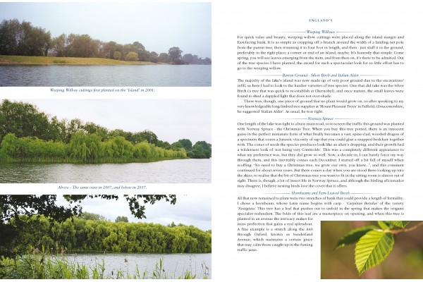 Bitetimes to Lifetimes by Tom Bankes