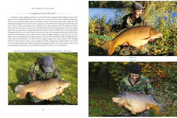 Bitetimes to Lifetimes by Tom Bankes