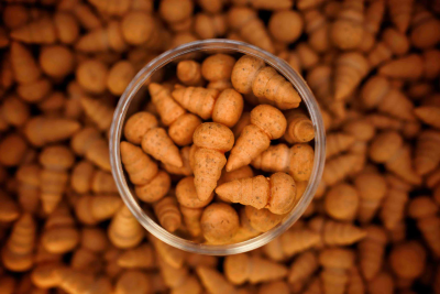 Forgotten Flavours Shrimp Naturals Popups