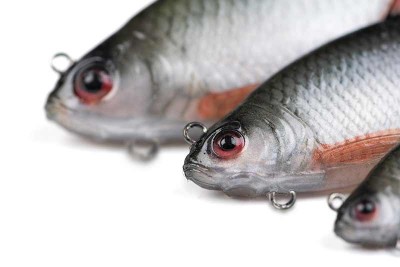 Fox Rage Replicant Ultra Realistic Roach 40g 14cm