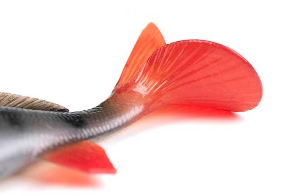 Fox Rage Replicant Ultra Realistic Perch 22g 10cm