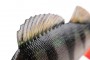 Fox Rage Replicant Ultra Realistic Perch 14cm 52g